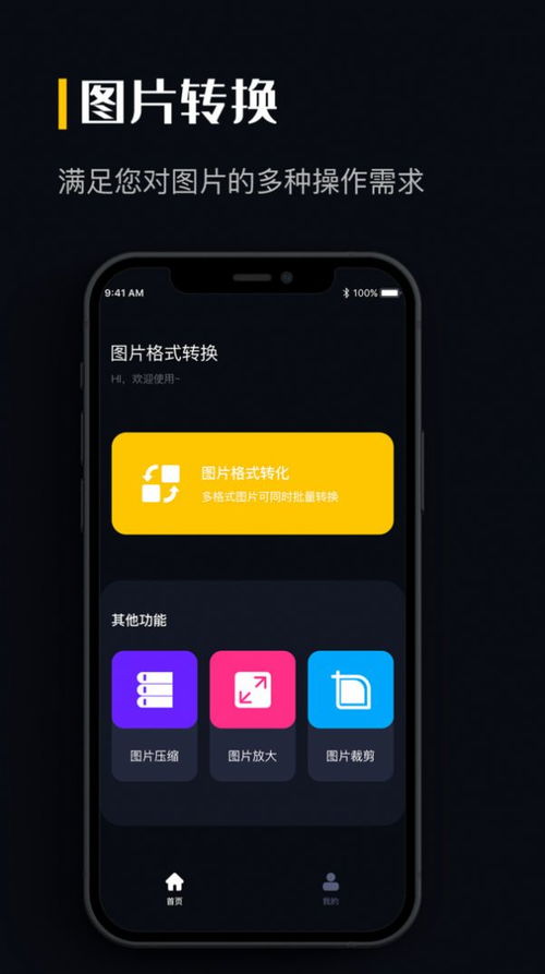 安卓系统图片格式,一网打尽