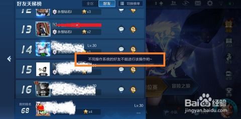 王者iphone能在安卓系统,王者iPhone版在安卓系统中的运行概述