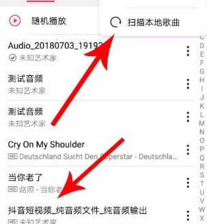 安卓系统录制抖音音乐,尽享个性化音乐体验