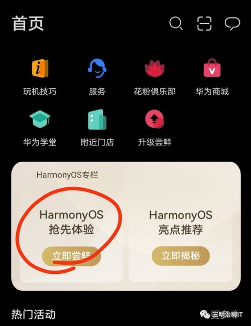 安卓手机怎样升级鸿蒙系统,操作指南与体验分享