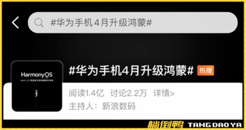 鸿蒙系统怎么切换回安卓,回归安卓操作指南