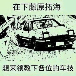 老司机就是我 