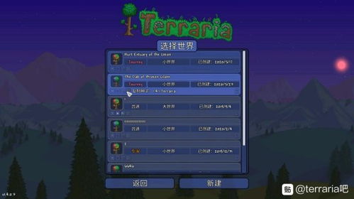 泰拉瑞亚存档编辑器 