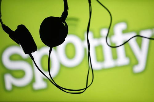 spotify音乐软件下载 