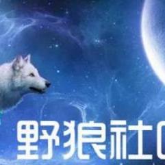 终极野狼模拟器2中文版 