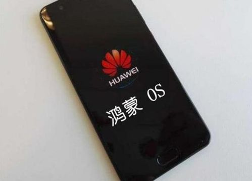 新荣耀是安卓系统吗,安卓系统下的创新之作