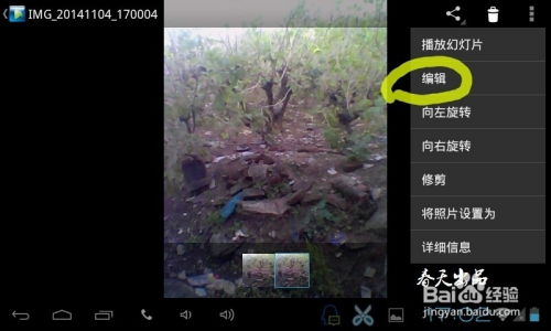 安卓系统怎么调成黑白色,轻松实现视觉舒适体验