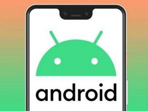 安卓10系统里的Google,Google带来的全新系统体验概览