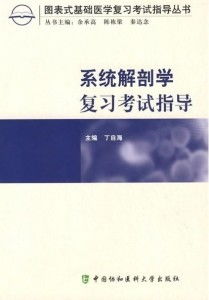 安卓系统解剖学考试,深入解析移动设备灵魂