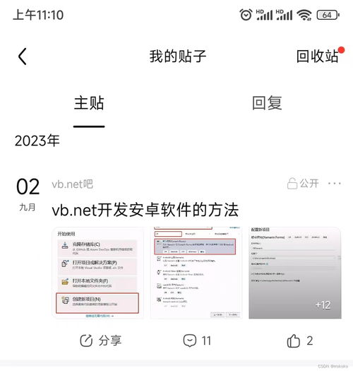 安卓系统如何设置net模式,安卓系统Net模式设置指南