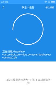 安卓系统兔子图片怎么删除,安卓系统兔子图片删除攻略