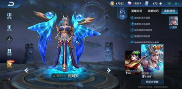 王者荣耀极光辅助 