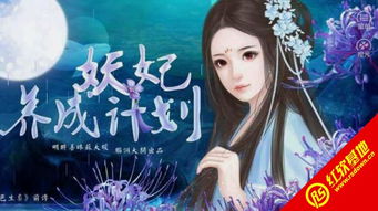 妖妃攻略系统和安卓,安卓世界中的奇幻冒险之旅